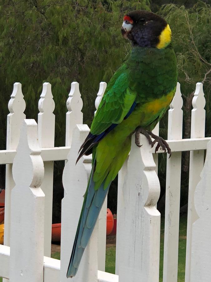 Holiday park Riverview Tourist Park